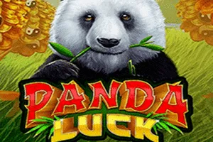 Playtech : Panda Luck - TITANBET138