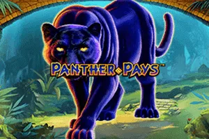 Playtech : Panther Pays - TITANBET138