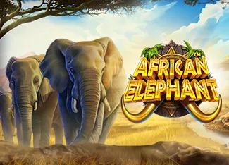 Pragmatic : African Elephant - TITANBET138